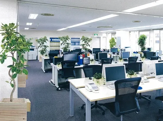 エアーグリーンミドル