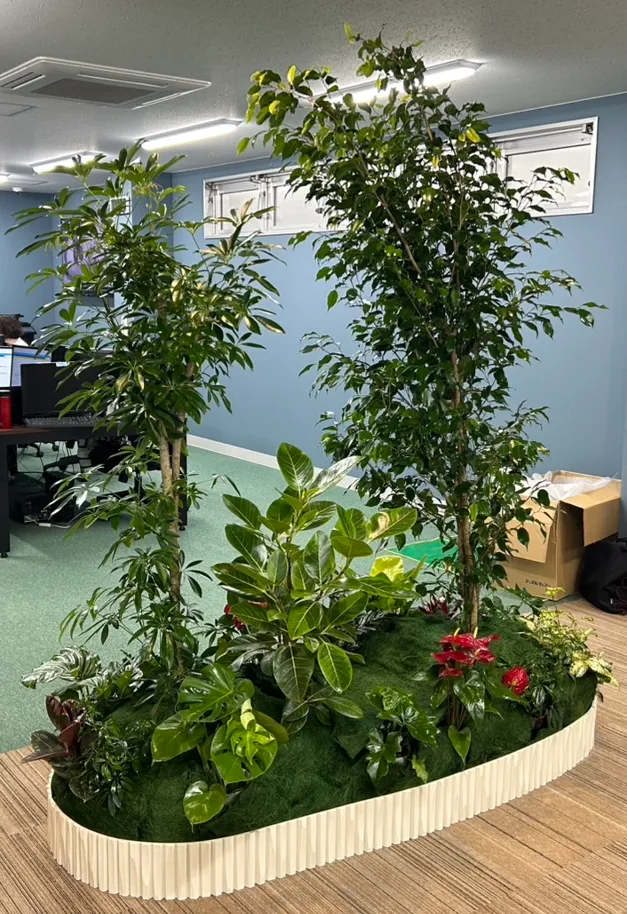 観葉植物の設置事例紹介（福岡市）